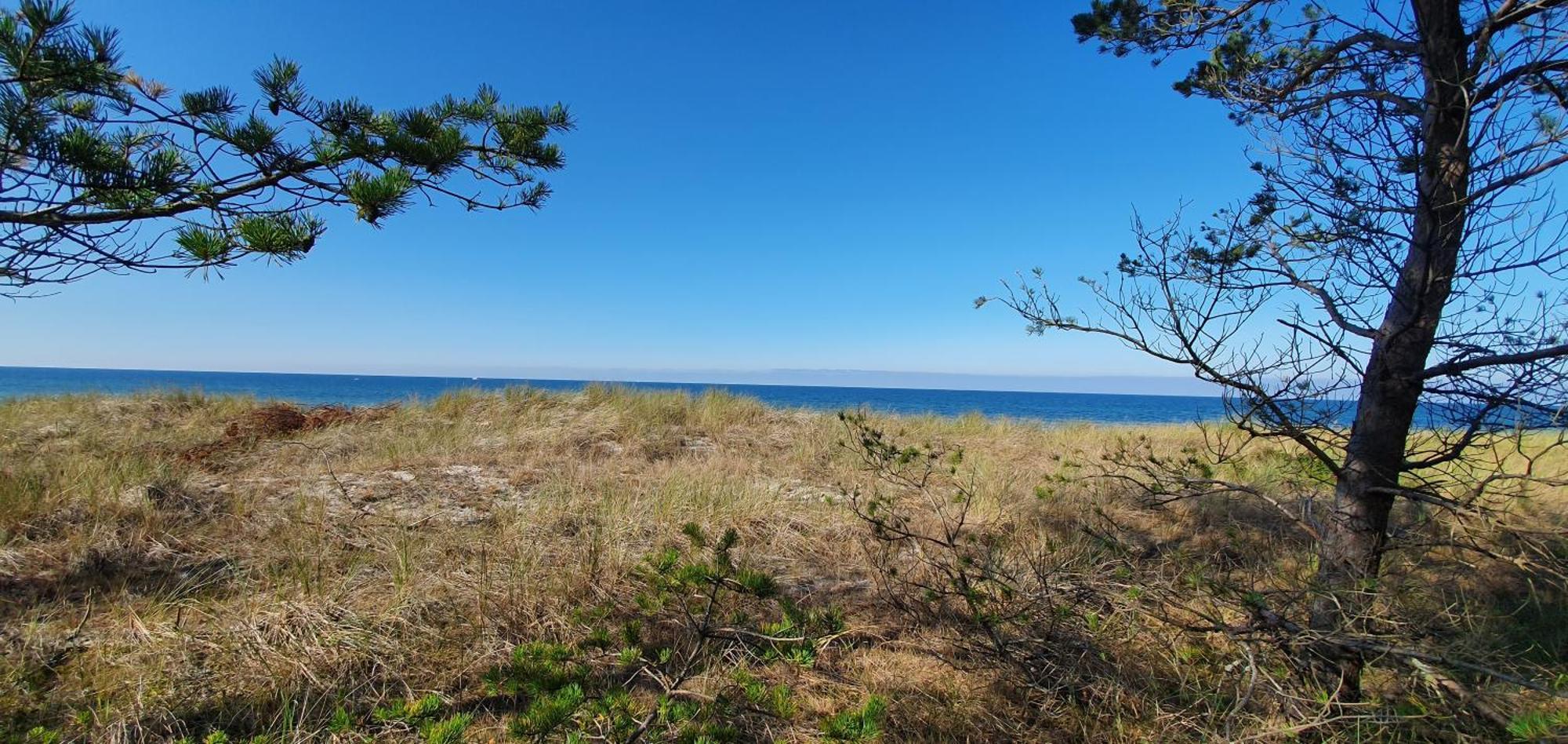 Domki Mile Chwile Lubiatowo  Exteriér fotografie